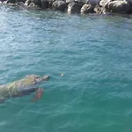Zefiros By Sea