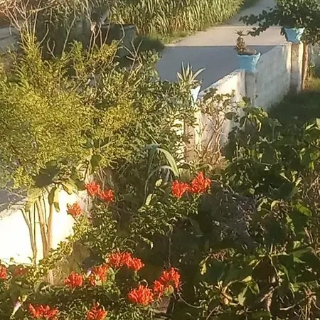 Apartment Zefiros By Sea Laganas